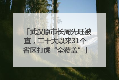 武汉原市长周先旺被查，二十大以来31个省区打虎“全覆盖”