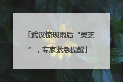 武汉惊现雨后“灵芝”，专家紧急提醒