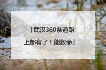 武汉360条道路上都有了！能救命