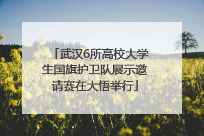 武汉6所高校大学生国旗护卫队展示邀请赛在大悟举行