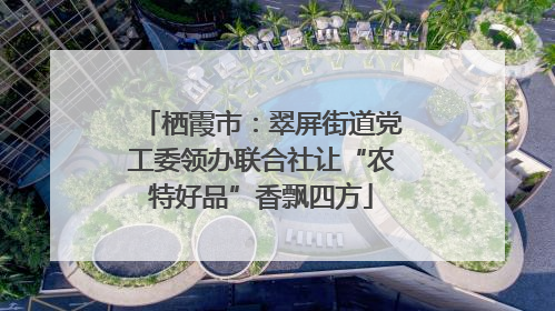栖霞市：翠屏街道党工委领办联合社让“农特好品”香飘四方