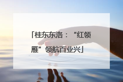 桂东东洛：“红领雁”领航百业兴