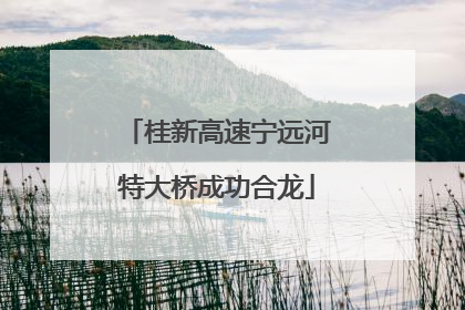 桂新高速宁远河特大桥成功合龙