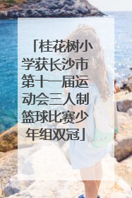 桂花树小学获长沙市第十一届运动会三人制篮球比赛少年组双冠
