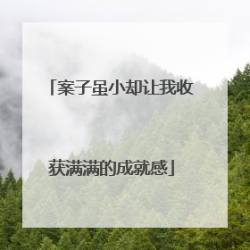 案子虽小却让我收获满满的成就感
