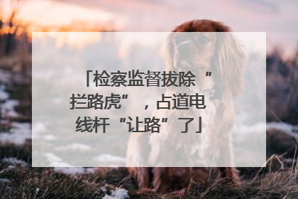 检察监督拔除“拦路虎”，占道电线杆“让路”了
