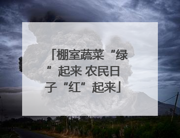 棚室蔬菜“绿”起来 农民日子“红”起来