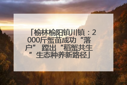 榆林榆阳镇川镇：2000斤蟹苗成功“落户” 蹚出“稻蟹共生”生态种养新路径