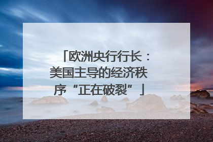 欧洲央行行长：美国主导的经济秩序“正在破裂”