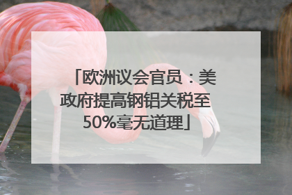 欧洲议会官员：美政府提高钢铝关税至50%毫无道理