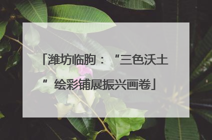 潍坊临朐：“三色沃土”绘彩铺展振兴画卷