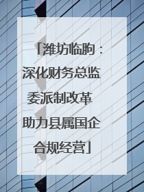 潍坊临朐：深化财务总监委派制改革 助力县属国企合规经营