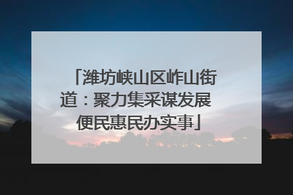 潍坊峡山区岞山街道：聚力集采谋发展 便民惠民办实事