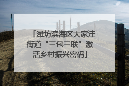 潍坊滨海区大家洼街道“三包三联”激活乡村振兴密码