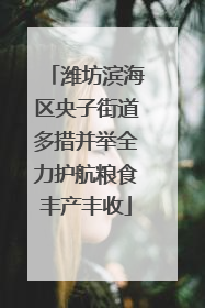 潍坊滨海区央子街道多措并举全力护航粮食丰产丰收