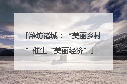 潍坊诸城：“美丽乡村”催生“美丽经济”