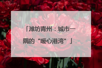 潍坊青州：城市一隅的“暖心港湾”