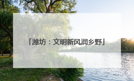 潍坊：文明新风润乡野