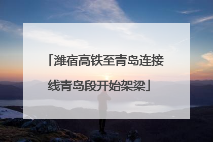 潍宿高铁至青岛连接线青岛段开始架梁