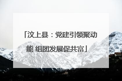 汶上县：党建引领聚动能 组团发展促共富