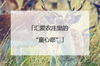 汇爱农庄里的“童心愿”