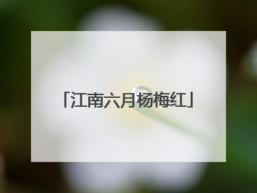江南六月杨梅红