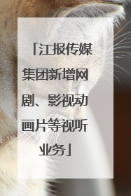 江报传媒集团新增网剧、影视动画片等视听业务