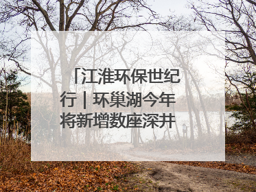 江淮环保世纪行｜环巢湖今年将新增数座深井控藻平台