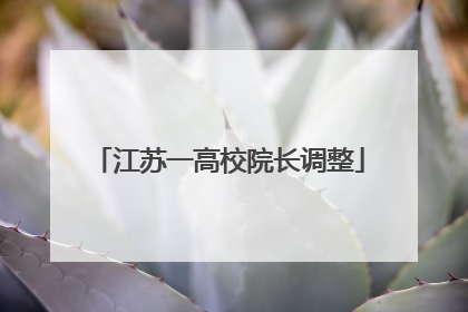 江苏一高校院长调整