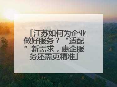 江苏如何为企业做好服务？“适配”新需求，惠企服务还需更精准