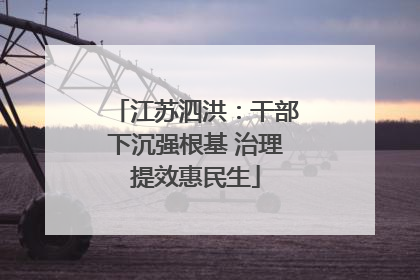 江苏泗洪：干部下沉强根基 治理提效惠民生