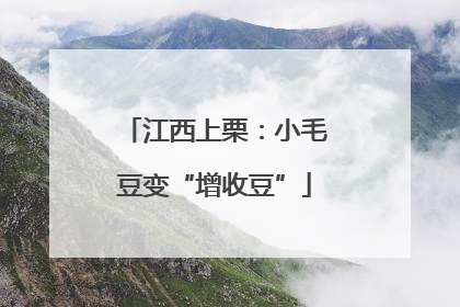 江西上栗：小毛豆变“增收豆”