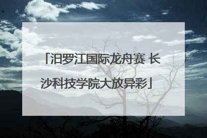 汨罗江国际龙舟赛 长沙科技学院大放异彩