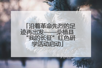 沿着革命先烈的足迹再出发——桑植县“我的长征”红色研学活动启动