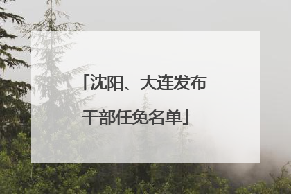 沈阳、大连发布干部任免名单