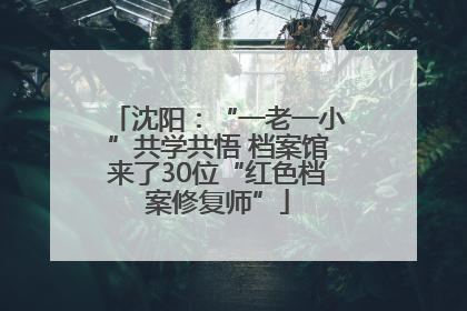 沈阳：“一老一小”共学共悟 档案馆来了30位“红色档案修复师”