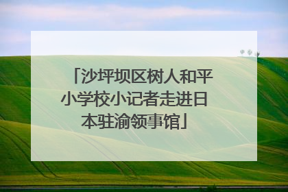沙坪坝区树人和平小学校小记者走进日本驻渝领事馆