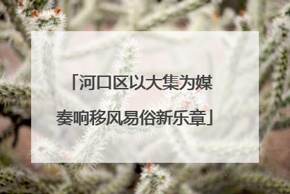 河口区以大集为媒 奏响移风易俗新乐章