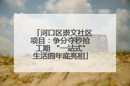 河口区崇文社区项目：争分夺秒抢工期 “一站式”生活圈年底亮相