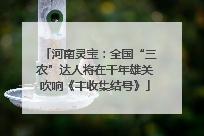 河南灵宝：全国“三农”达人将在千年雄关吹响《丰收集结号》