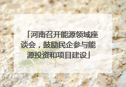 河南召开能源领域座谈会，鼓励民企参与能源投资和项目建设