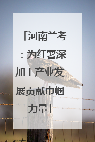 河南兰考：为红薯深加工产业发展贡献巾帼力量