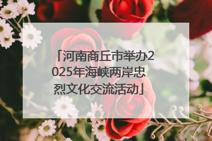 河南商丘市举办2025年海峡两岸忠烈文化交流活动