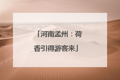 河南孟州：荷香引得游客来