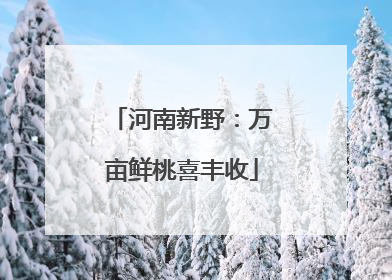 河南新野：万亩鲜桃喜丰收