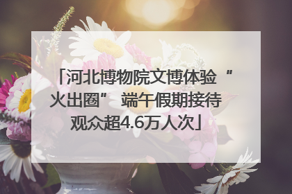 河北博物院文博体验“火出圈” 端午假期接待观众超4.6万人次