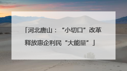 河北唐山：“小切口”改革释放惠企利民“大能量”