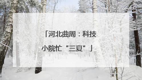 河北曲周：科技小院忙“三夏”
