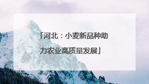 河北：小麦新品种助力农业高质量发展