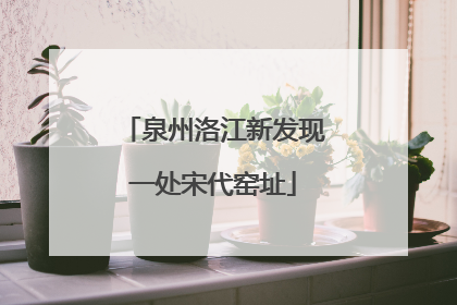 泉州洛江新发现一处宋代窑址